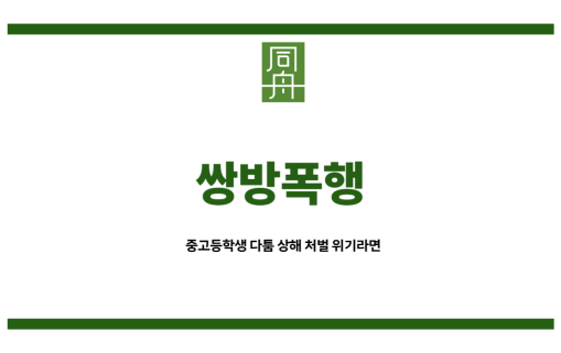 쌍방폭행