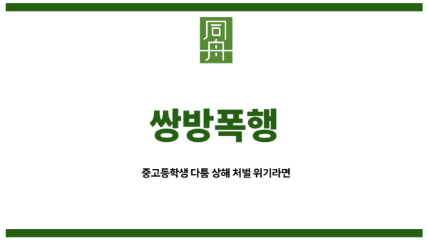 쌍방폭행