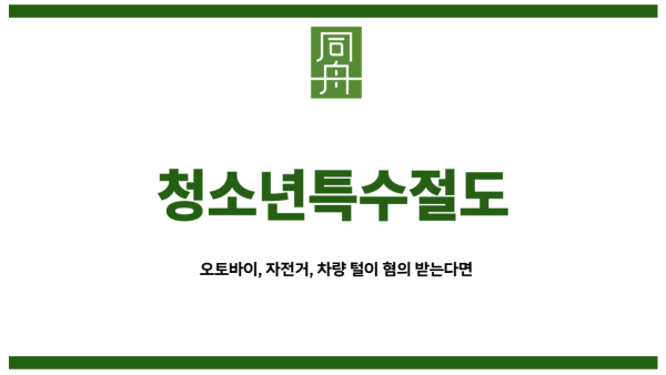 청소년특수절도