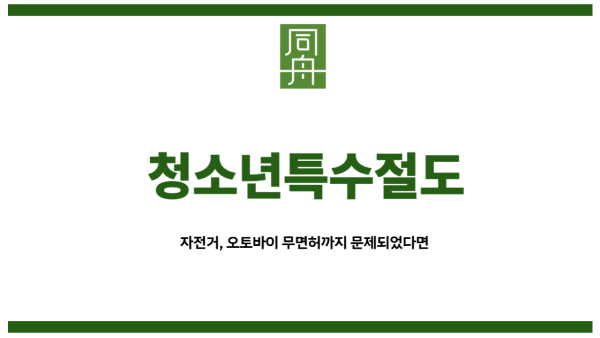 청소년특수절도